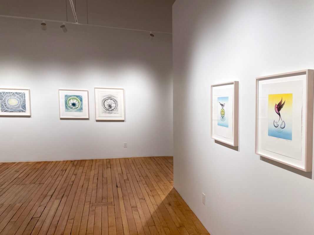 Don Carr - Collaborative Print Variations, 2025