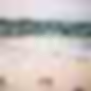 Hazel May Eckert - Soft Focus IMG_3899, 2019