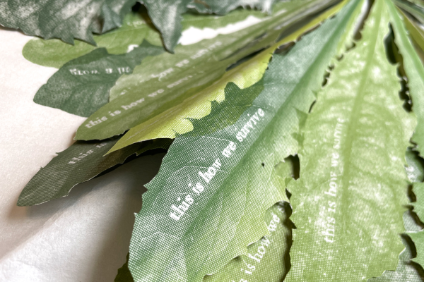 Jenn Law - correspondence (this is how we survive), detail, 2025