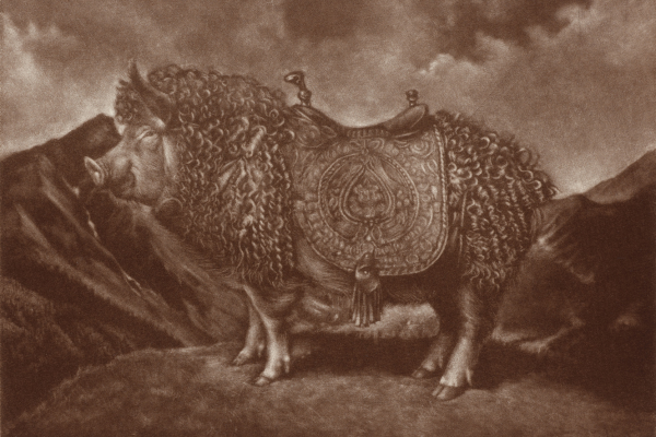 Lauchie Reid - Sus Fidelus, 2025