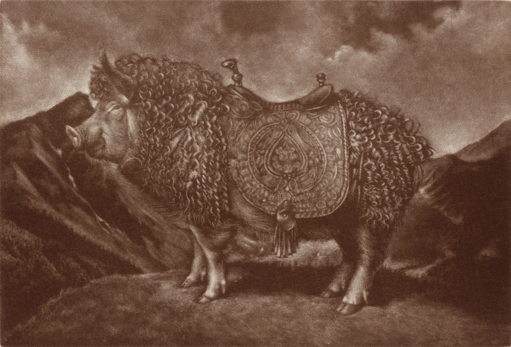 Lauchie Reid - Sus Fidelus, 2025