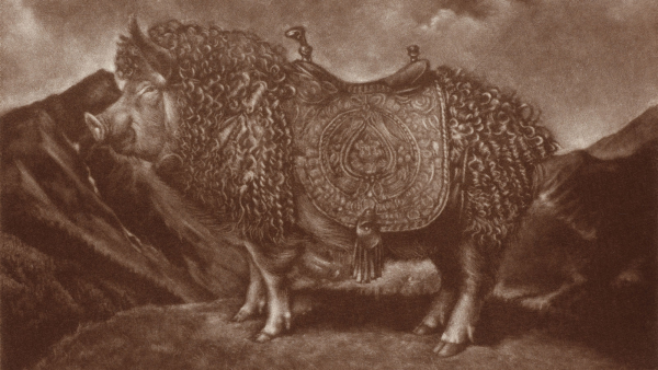 Lauchie Reid - Sus Fidelus, 2025