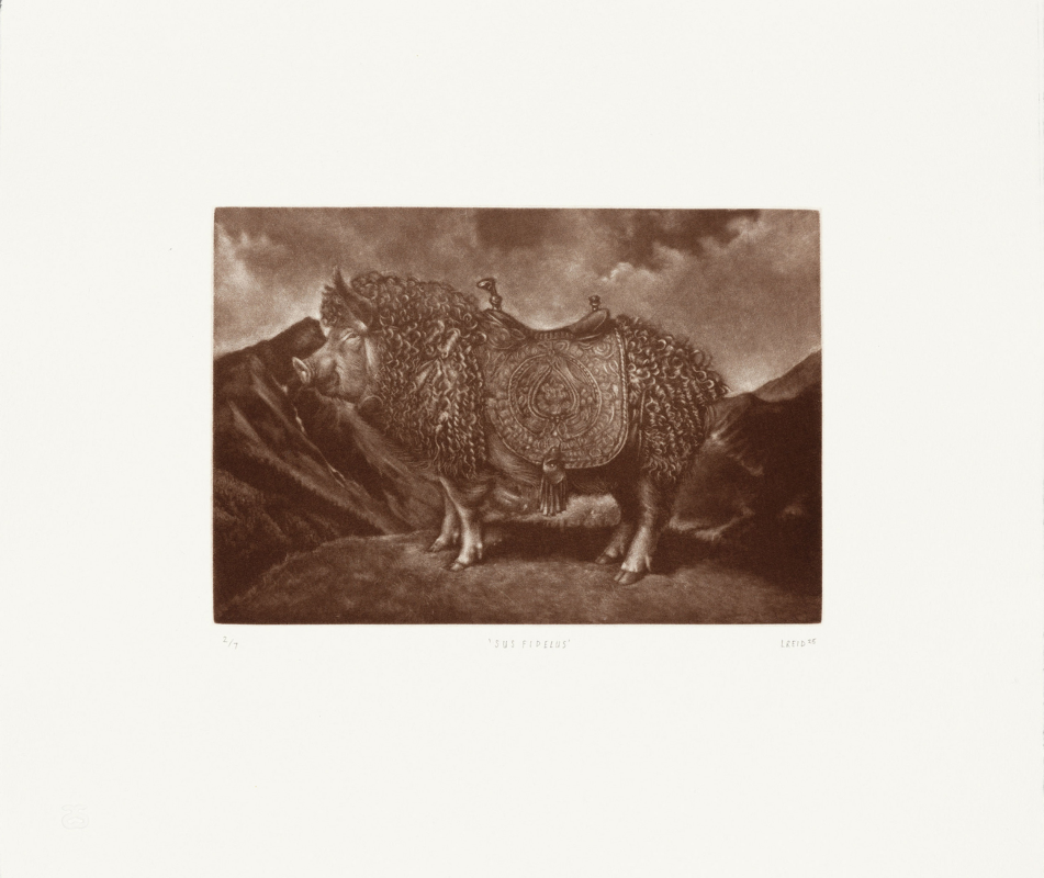 Lauchie Reid - Sus Fidelus, 2025