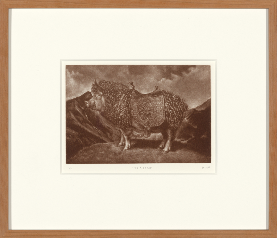 Lauchie Reid - Sus Fidelus, 2025