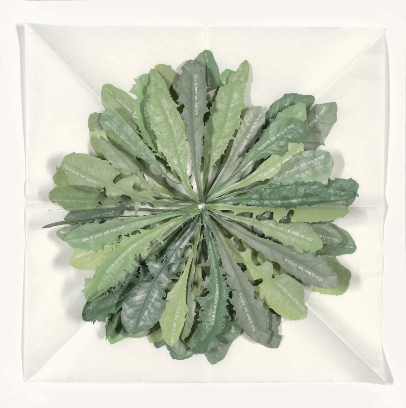 Jenn Law - correspondence (this is how we survive), 2025