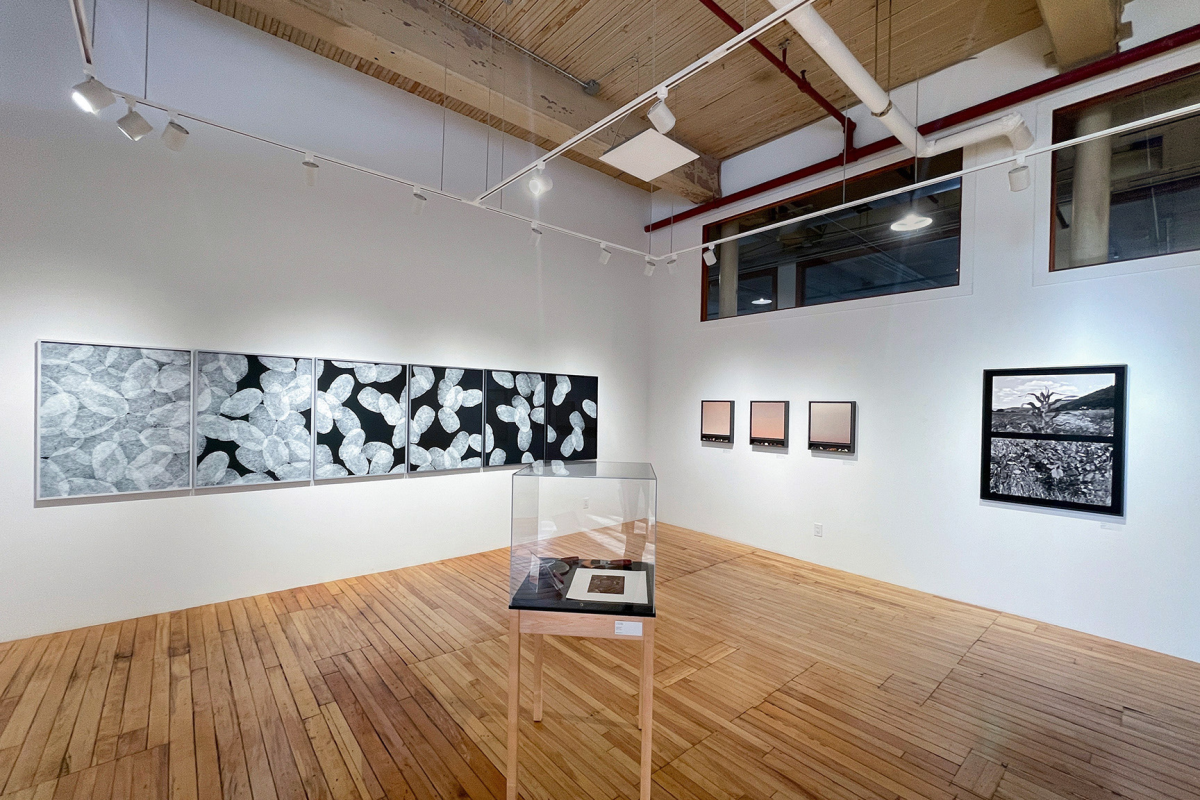 Smokestack Published Projects group show - 2026