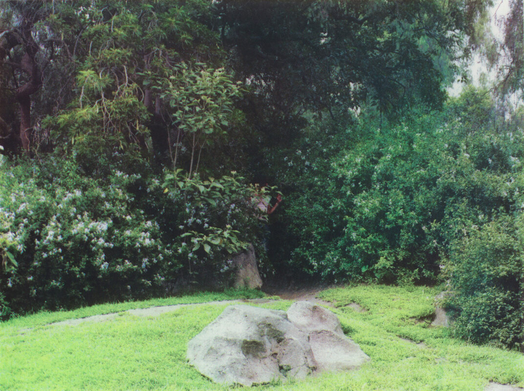 Isabel Okoro - Now you arrive, reach inwards, 12" x 16" silkscreen print on mylar, edition of 7, 2026