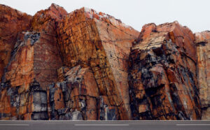 Chris NIcholls - Dog Patch, 37.25" x 60", archival pigment print, edition of 5, 2026