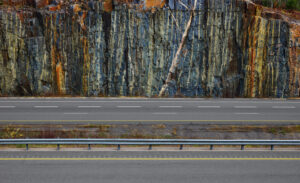 Chris Nicholls - Windfall, 36.5" x 60", archival pigment print, edition of 5, 2026