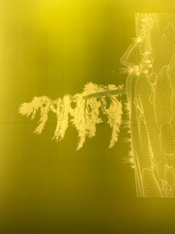 Finn O'Hara - Astral Presage, behind-the-scenes, 2026