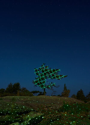 Finn O'Hara - Stellar Imprint, 45" x 30" archival pigment print, edition of 10, 2025