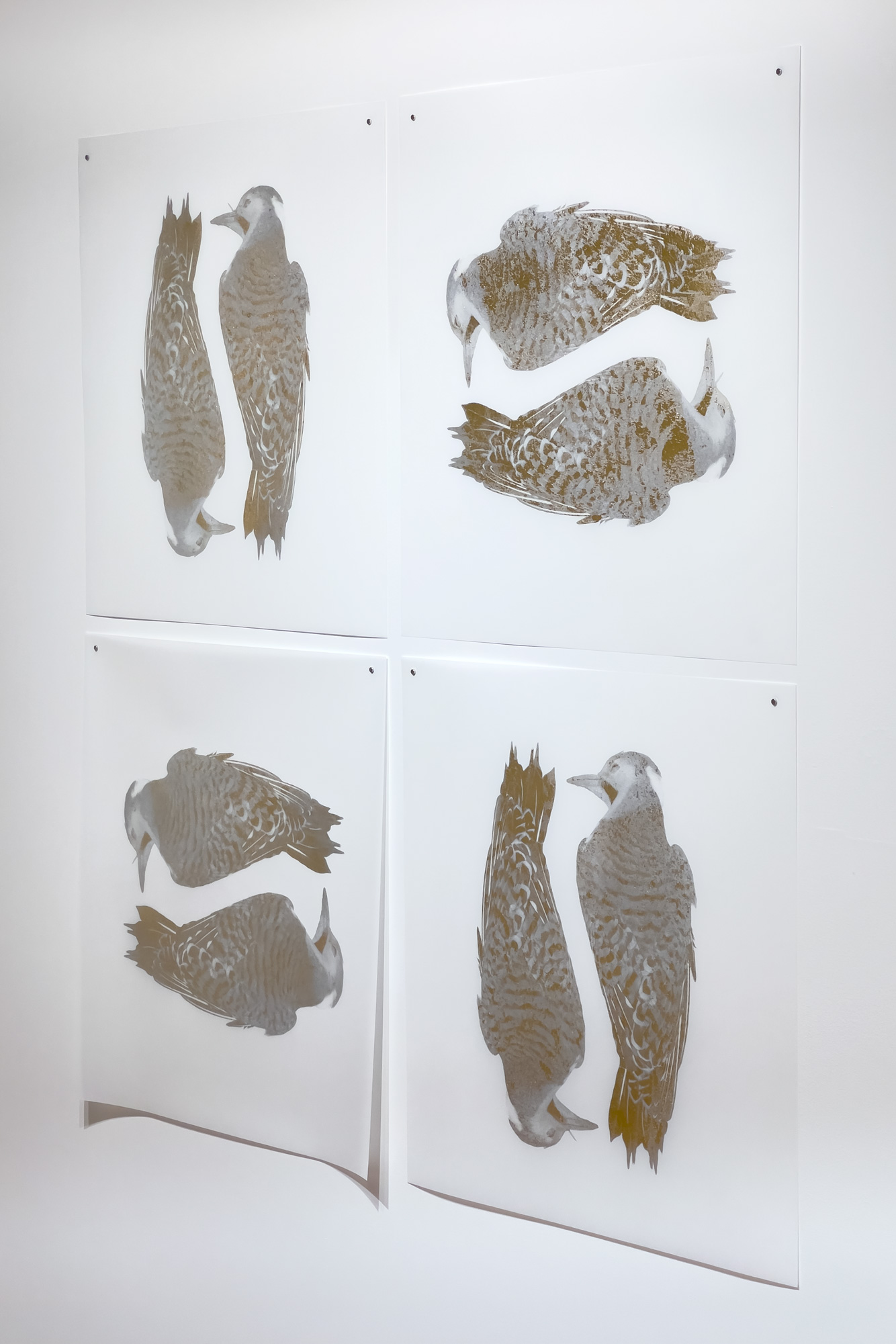 Laine Groeneweg - Precious Pair, 25" x 25" each, silkscreen with gold and silver-leaf on mylar, variable edition of 4, 2026, grouping