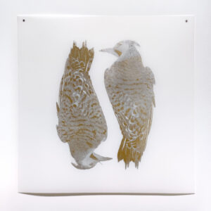 Laine Groeneweg - Precious Pair, 25" x 25", silkscreen with gold and silver-leaf on mylar, variable edition of 4, 2026
