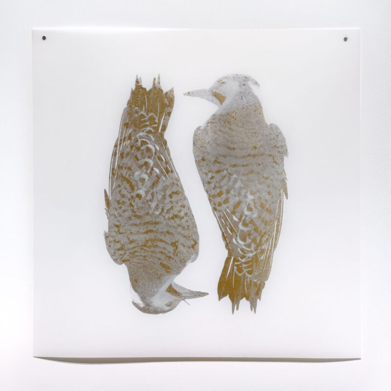 Laine Groeneweg - Precious Pair, 25" x 25", silkscreen with gold and silver-leaf on mylar, variable edition of 4, 2026