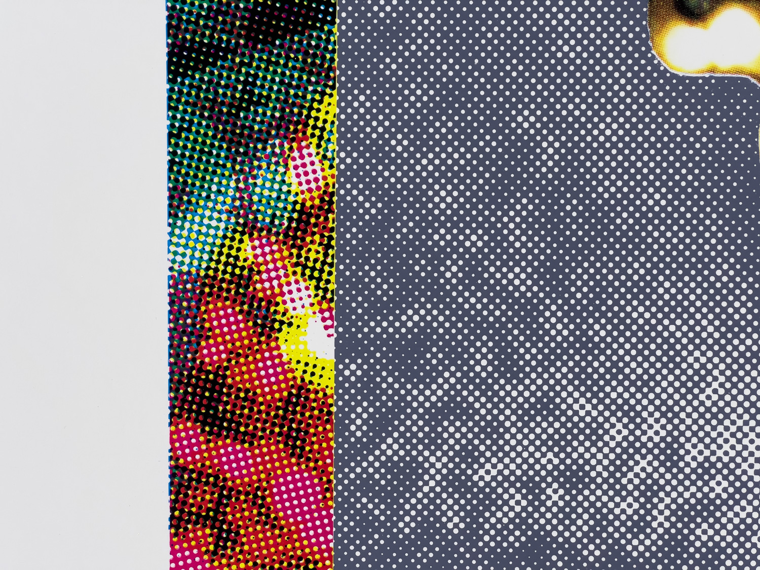 Roger Mooking - Holy Smokes, 36" x 46", silkscreen, edition of 3, 2026, detail