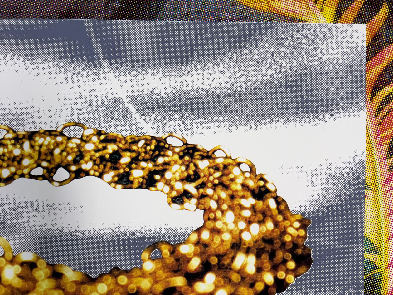 Roger Mooking - Holy Smokes, 36" x 46", silkscreen, edition of 3, 2026, detail