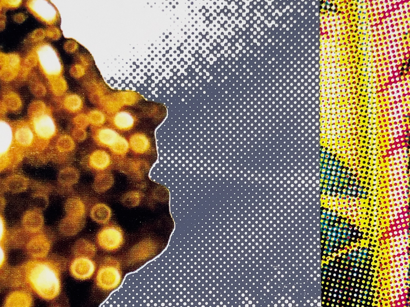 Roger Mooking - Holy Smokes, 36" x 46", silkscreen, edition of 3, 2026, detail