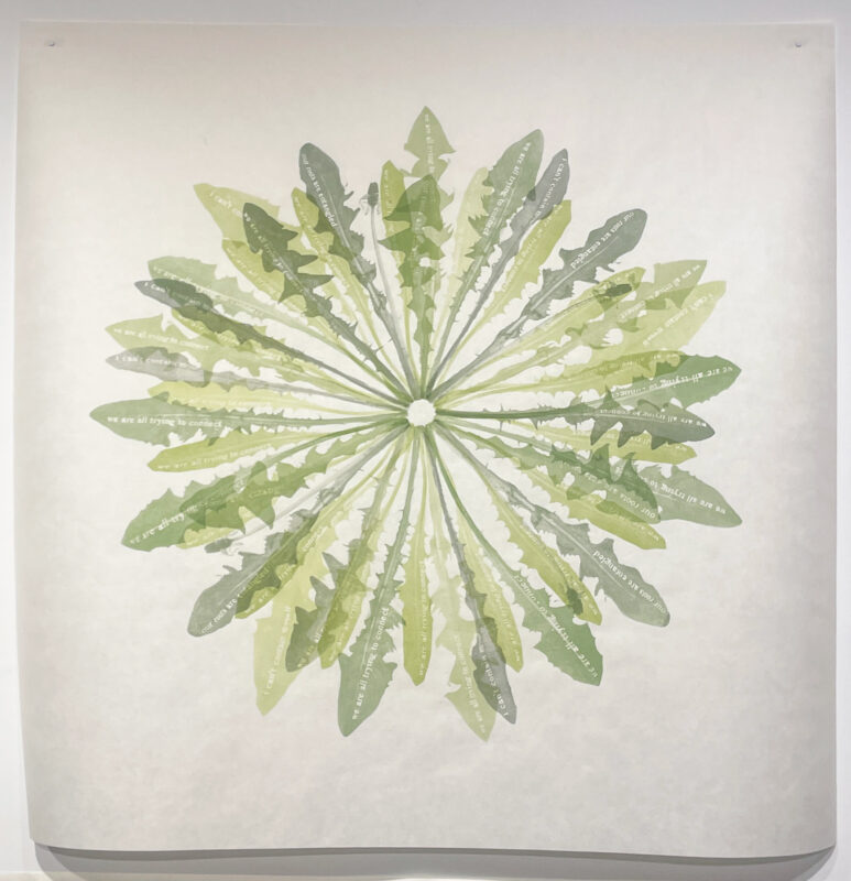 Jenn Law - propagé (we are all trying), 36" x 36", screenprint of letterpress printed dandelion leaves, variable edition of 2, 2026