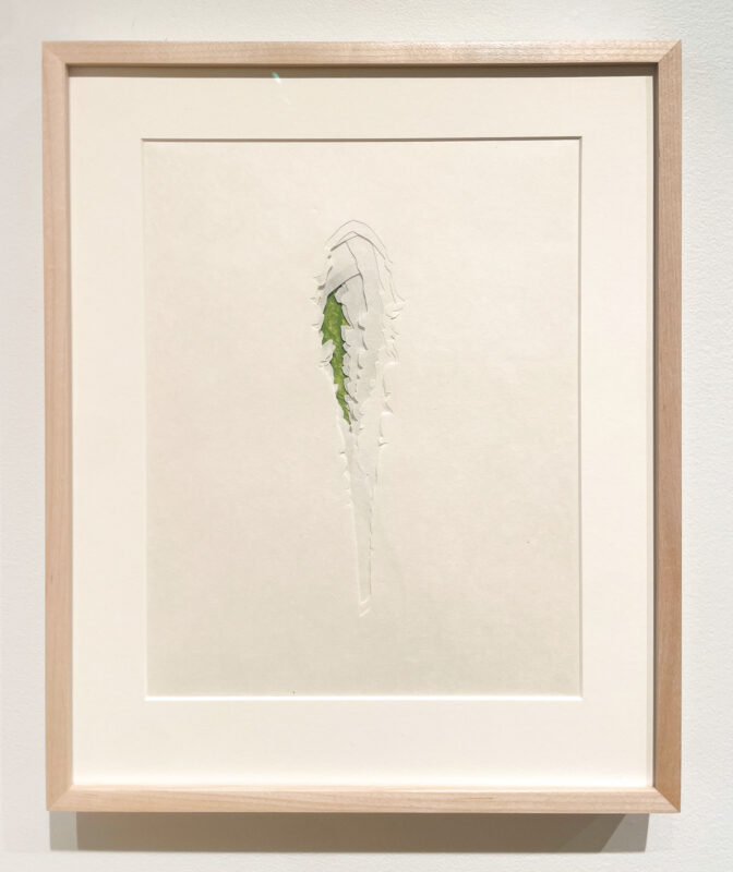 Jenn Law - under the lion (it was just a matter of time), 11 1/8" x 13 7/8", double-sided screenprint of letterpress printed dandelion leaves and handcut kozuke in custom maple frame with acrylic backing, variable edition of 3, 2026