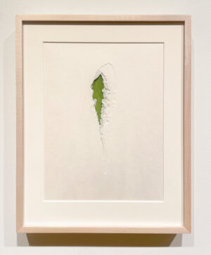 Jenn Law - under the lion (this is how we survive), 11 1/8" x 13 7/8", double-sided screenprint of letterpress printed dandelion leaves and handcut kozuke in custom maple frame with acrylic backing, variable edition of 3, 2026