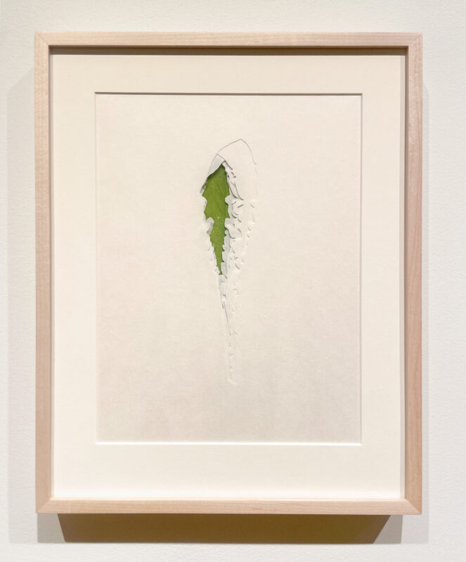 Jenn Law - under the lion (this is how we survive), 11 1/8" x 13 7/8", double-sided screenprint of letterpress printed dandelion leaves and handcut kozuke in custom maple frame with acrylic backing, variable edition of 3, 2026
