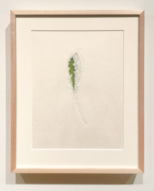 Jenn Law - under the lion (grow a little closer), 11 1/8" x 13 7/8", double-sided screenprint of letterpress printed dandelion leaves and handcut kozuke in custom maple frame with acrylic backing, variable edition of 3, 2026