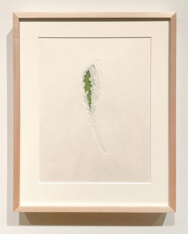 Jenn Law - under the lion (grow a little closer), 11 1/8" x 13 7/8", double-sided screenprint of letterpress printed dandelion leaves and handcut kozuke in custom maple frame with acrylic backing, variable edition of 3, 2026