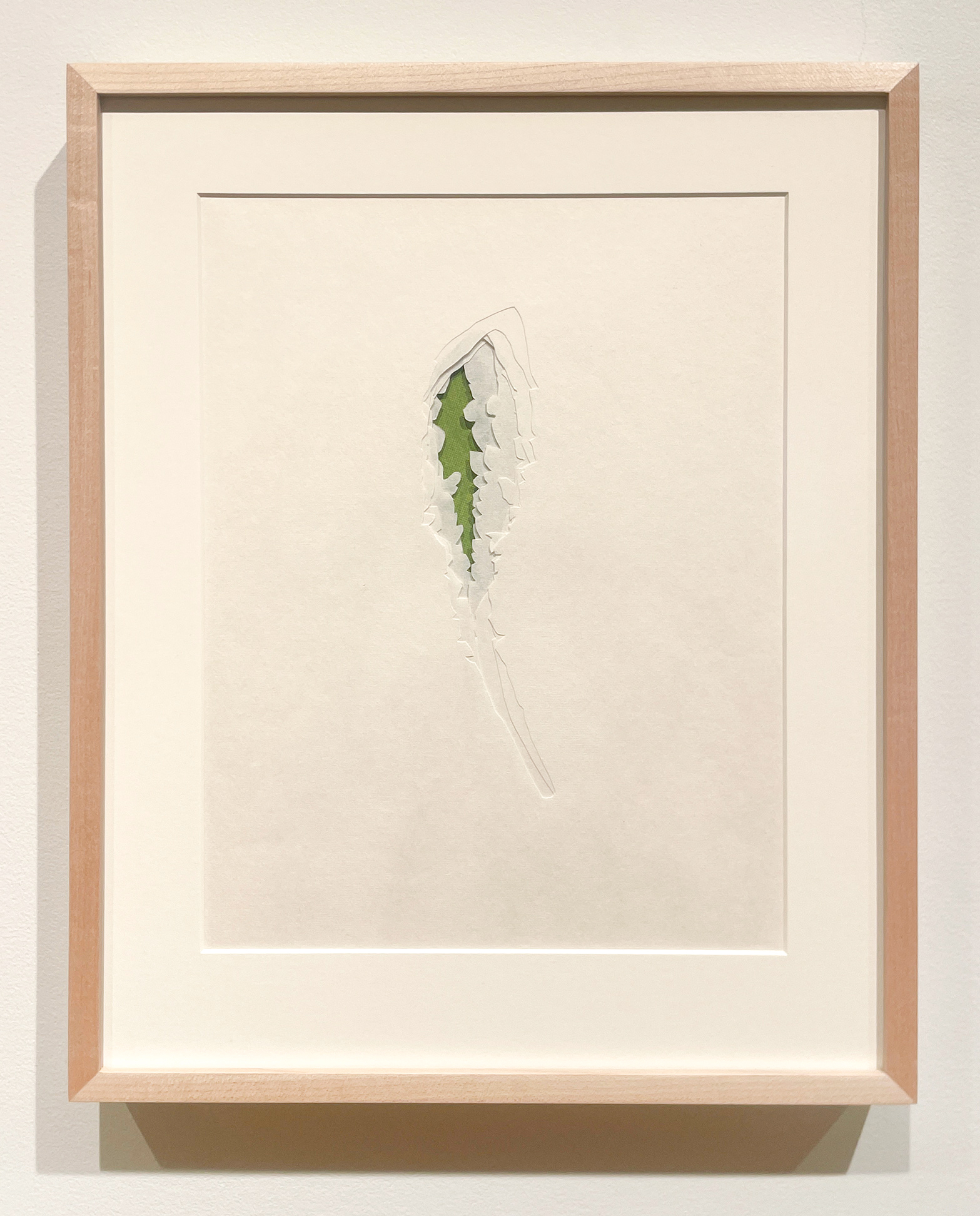 Jenn Law - under the lion (grow a little closer), 11 1/8" x 13 7/8", double-sided screenprint of letterpress printed dandelion leaves and handcut kozuke in custom maple frame with acrylic backing, variable edition of 3, 2026