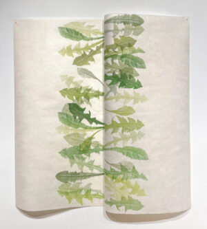 Jenn Law - overleaf (i could learn), 39.25" x 35.5", screenprint of letterpress printed dandelion leaves, variable edition of 3, 2026