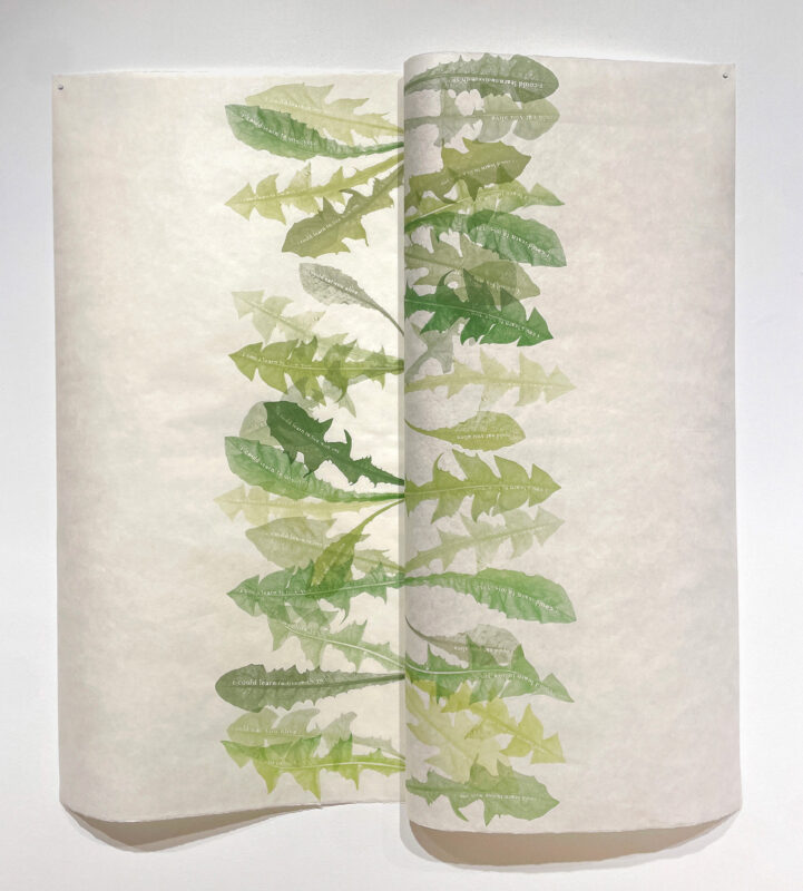 Jenn Law - overleaf (i could learn), 39.25" x 35.5", screenprint of letterpress printed dandelion leaves, variable edition of 3, 2026