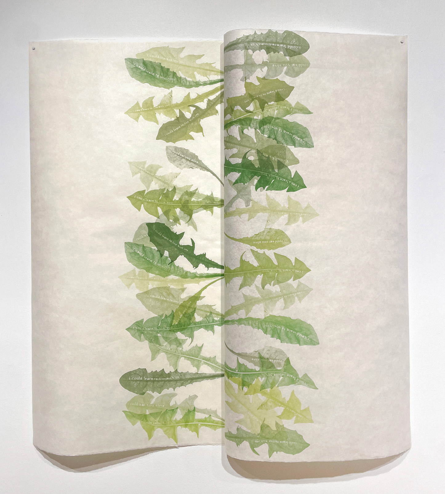 Jenn Law - overleaf (i could learn), 39.25" x 35.5", screenprint of letterpress printed dandelion leaves, variable edition of 3, 2026