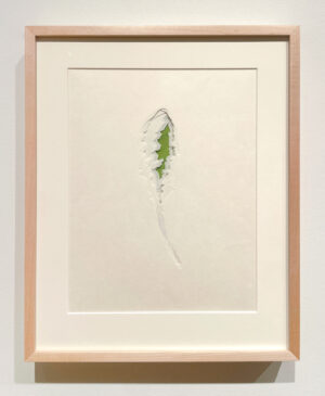 Jenn Law - under the lion (i could learn to love you), 11 1/8" x 13 7/8", double-sided screenprint of letterpress printed dandelion leaves and handcut kozuke in custom maple frame with acrylic backing, variable edition of 3, 2026
