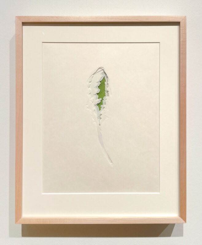 Jenn Law - under the lion (i could learn to love you), 11 1/8" x 13 7/8", double-sided screenprint of letterpress printed dandelion leaves and handcut kozuke in custom maple frame with acrylic backing, variable edition of 3, 2026