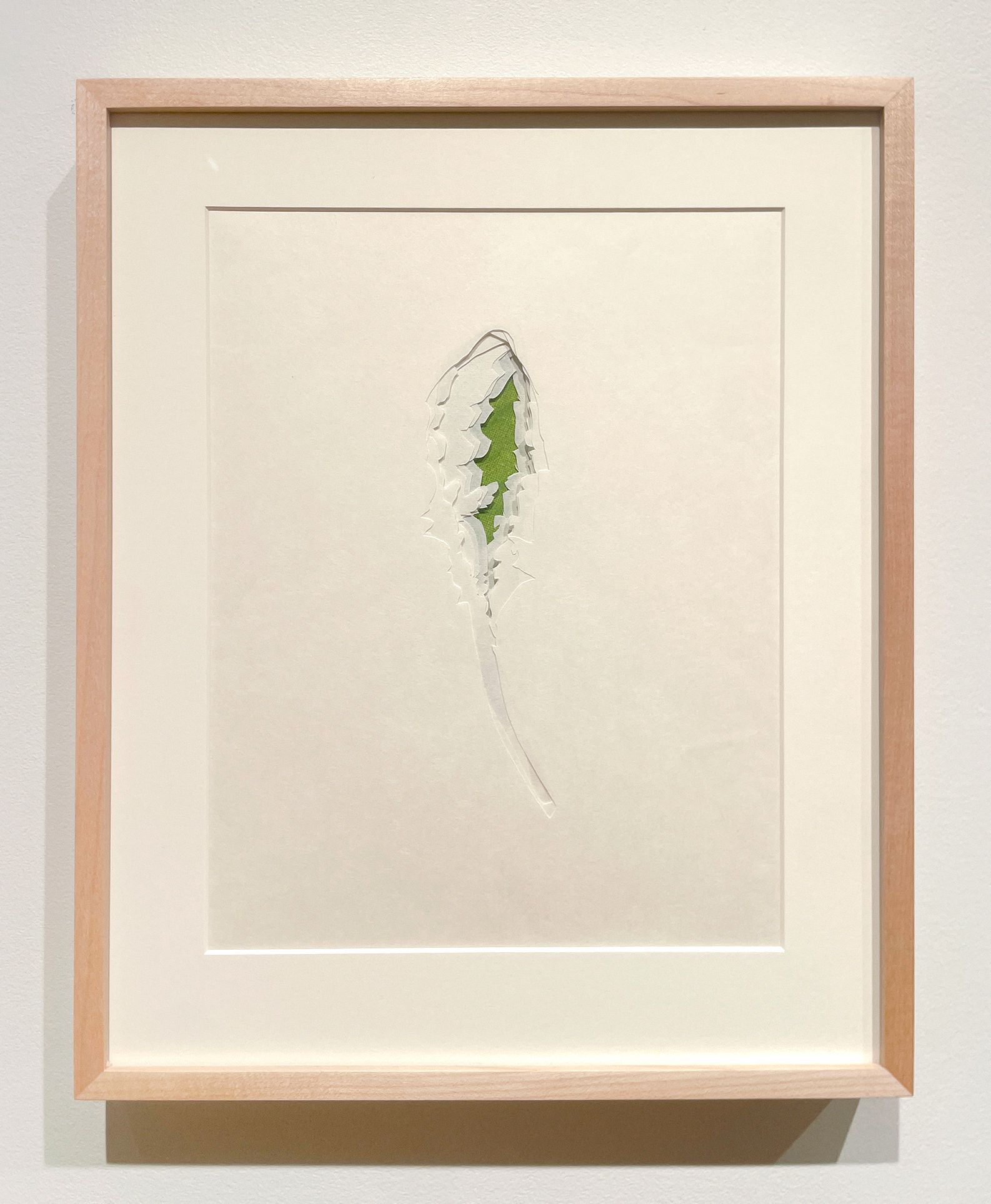 Jenn Law - under the lion (i could learn to love you), 11 1/8" x 13 7/8", double-sided screenprint of letterpress printed dandelion leaves and handcut kozuke in custom maple frame with acrylic backing, variable edition of 3, 2026