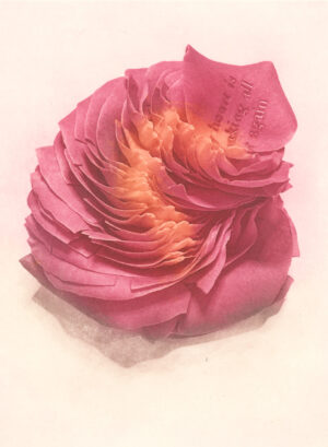 Jenn Law - my heart is breaking all over again (C I), 6.75" x 5", photopolymer gravure print of letterpress printed rose petals, variable edition of 5, 2026