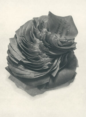 Jenn Law - my heart is breaking all over again (B I), 6.75" x 5", photopolymer gravure of letterpress printed rose petals, variable edition of 5, 2025