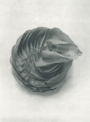 Jenn Law - we could be different (B III), 6.75" x 5", photopolymer gravure of letterpress printed rose petals, variable edition of 5, 2025