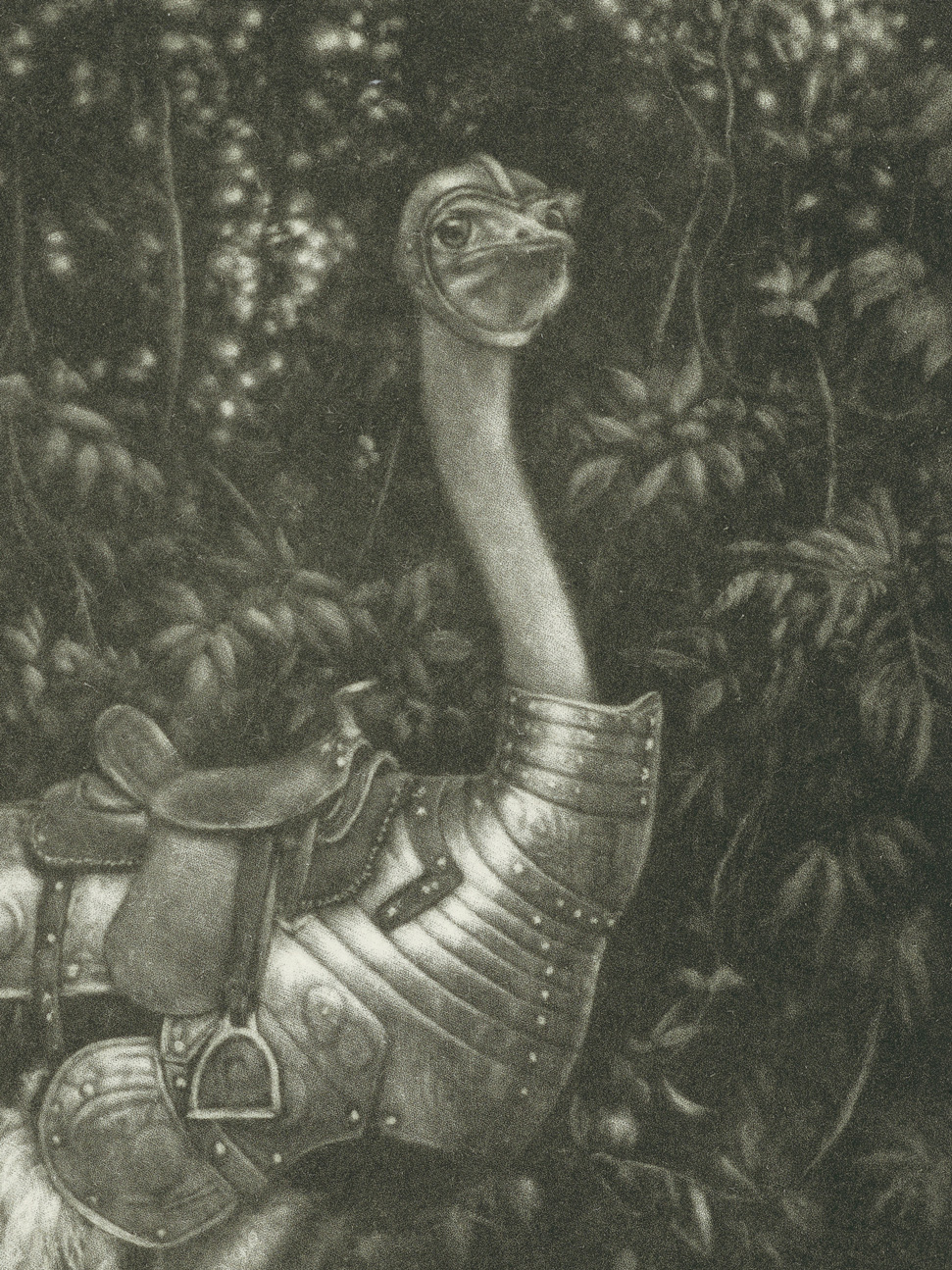 Lauchie Reid - Struthiocamelus Intrepidus, 14 3/4" x 12 1/2", mezzotint, edition of 7, 2026, detail