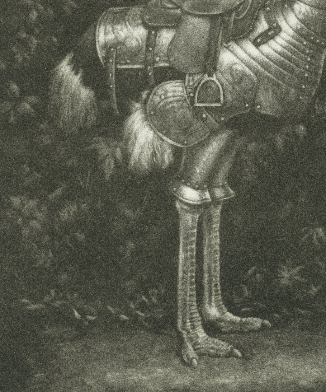 Lauchie Reid - Struthiocamelus Intrepidus, 14 3/4" x 12 1/2", mezzotint, edition of 7, 2026, detail